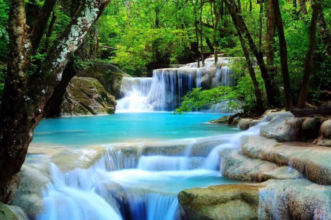 Cascading Forest Waterfall