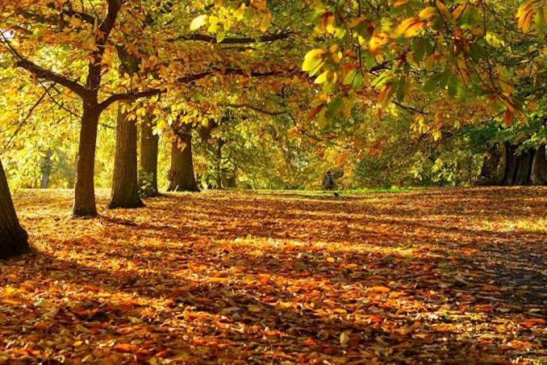 Four Seasons & Weather