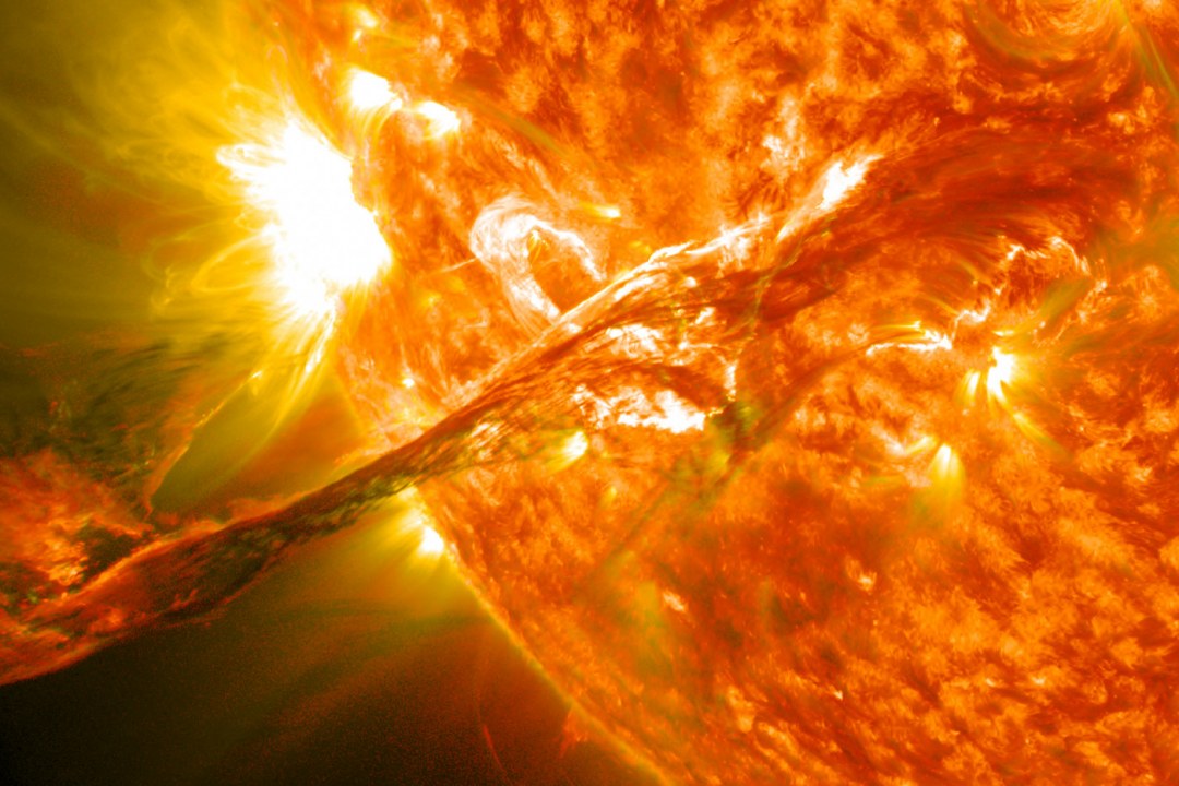 Solar Flare Corona