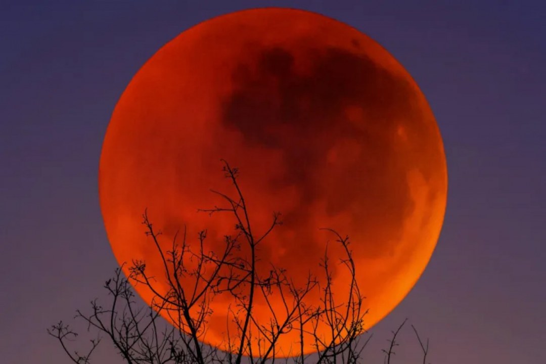 Lunar Eclipse Blood Moon