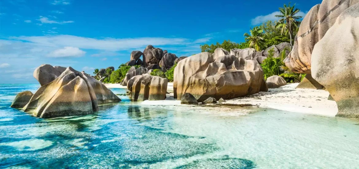 Tropical Paradises