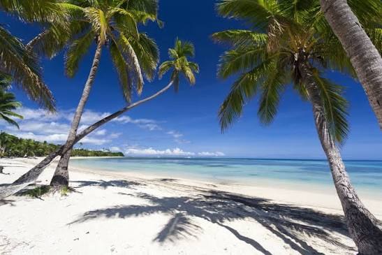 Fiji Palm Fringed White Sand